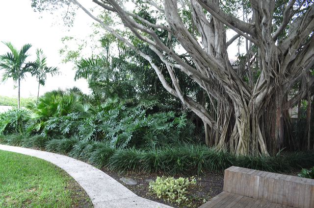 050_central_florida_134.jpg