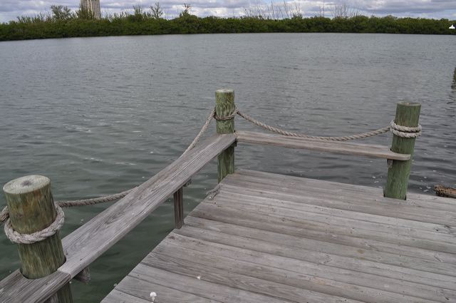 050_central_florida_142.jpg