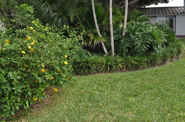 050_central_florida_145.jpg