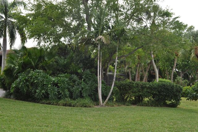050_central_florida_146.jpg