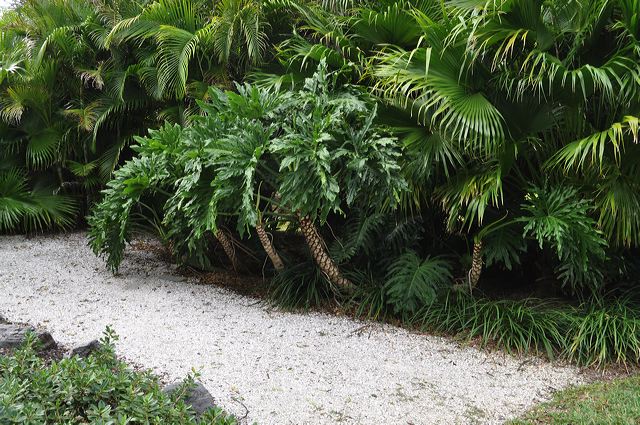 050_central_florida_152.jpg