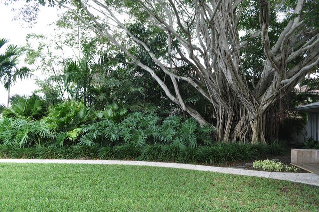 050_central_florida_156.jpg