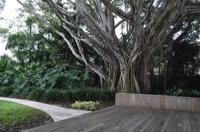 050_central_florida_157.jpg