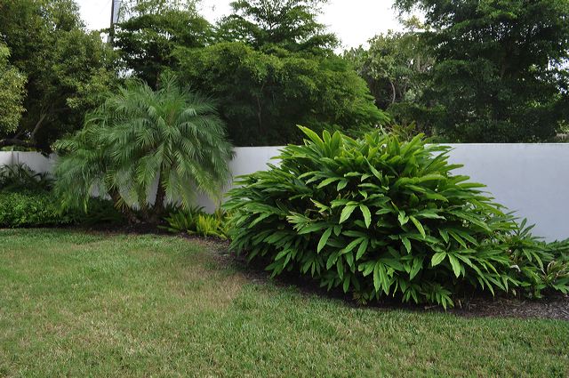 050_central_florida_200.jpg
