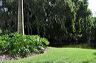 050_central_florida_064