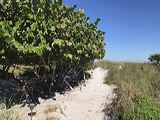 img_8070