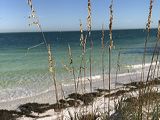 img_8073