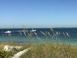 img_8081