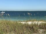 img_8082