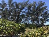 img_8089