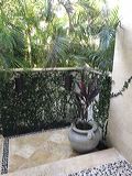 img_8267