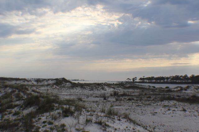 img_8449.jpg