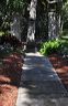 central_florida_071