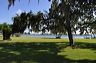 central_florida_076