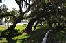 central_florida_077