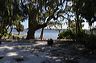 central_florida_103