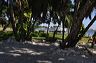 central_florida_108