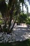 central_florida_113