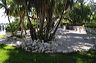 central_florida_114