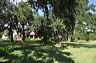 central_florida_118