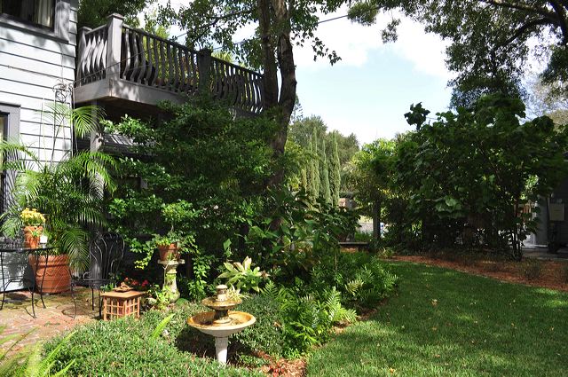 central_florida_204.jpg