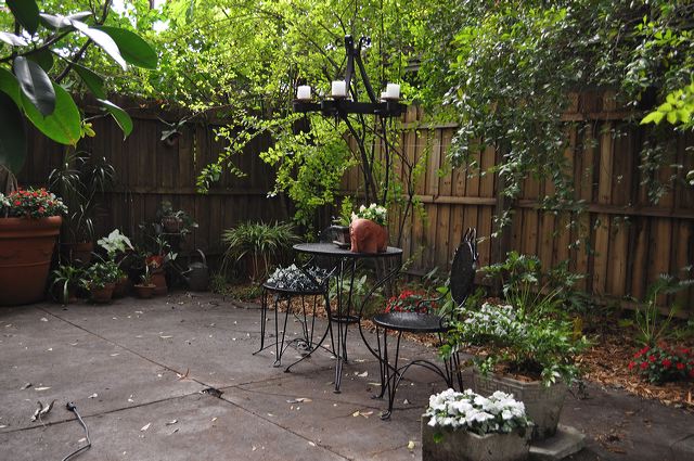 central_florida_224.jpg