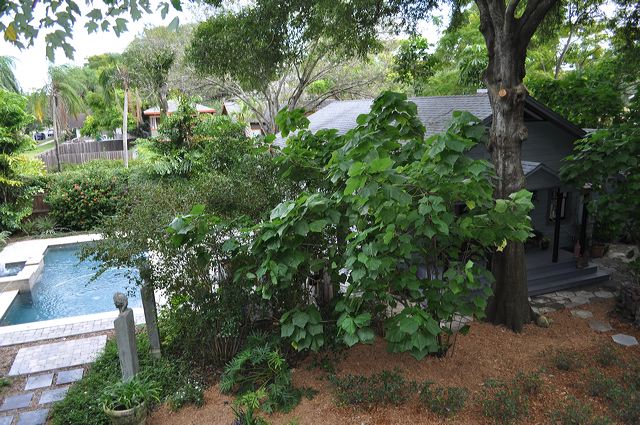central_florida_238.jpg
