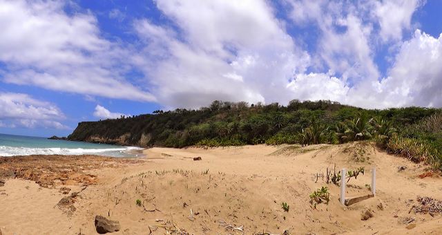 borinquen_beach_02.jpg