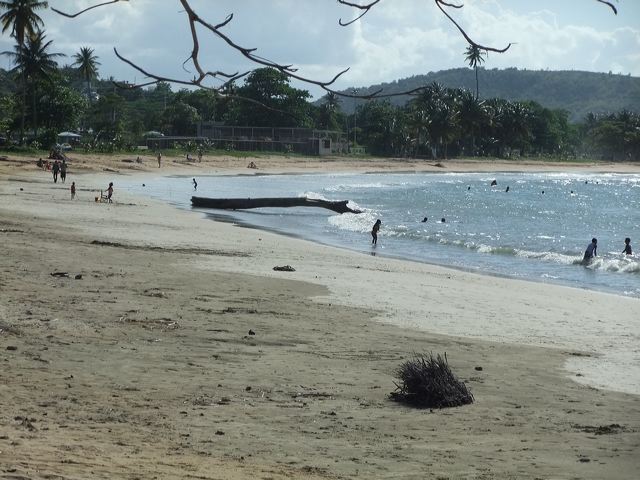 dscf7557.jpg