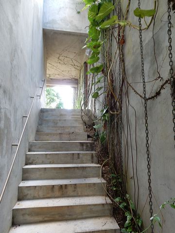 dscn0499.jpg